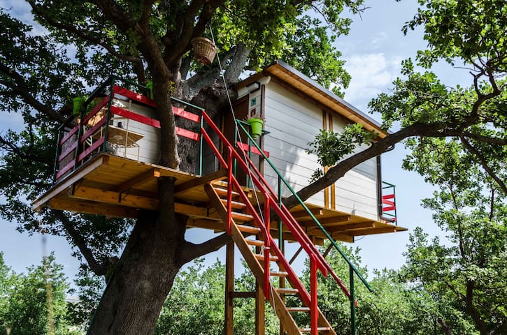 Treehouse by Etore